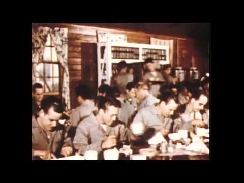 Medical Aspects Of Nuclear Radiation (1950)