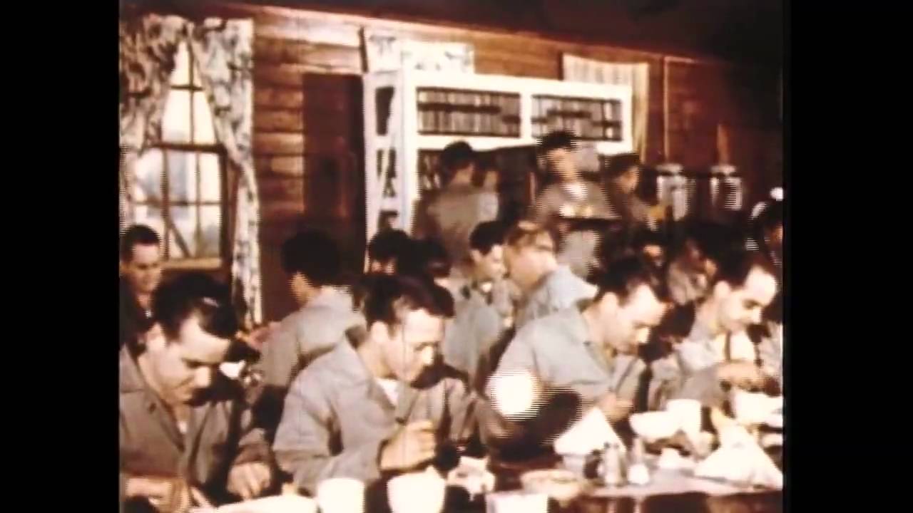 Medical Aspects Of Nuclear Radiation (1950)