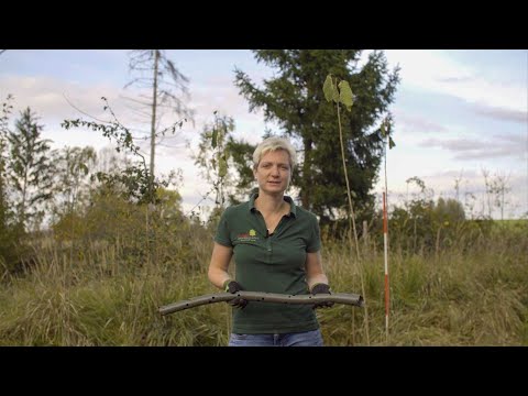 Tutorial Fegeschutzspirale neu