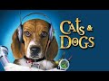 Cats And Dogs Tamil