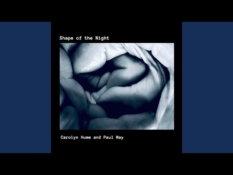 Shape of the Night (feat. Duke Garwood)