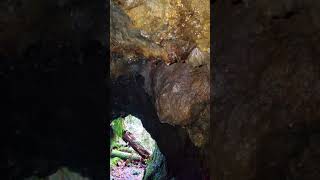 preview picture of video 'Mining Shaft near Granite Falls WA'