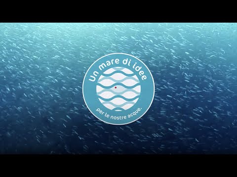 Anteprima video