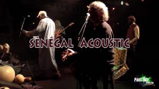 Live à La Sirène - Senegal Acoustic _ Le Zèbre