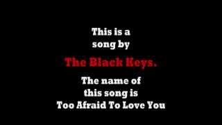 The Black Keys - Too Afraid To Love You