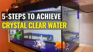 5-Steps to Achieve Crystal Clear Water for your Aquarium Tank