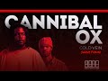 CANNIBAL OX - SCREAM PHOENIX 🔥🔥🔥  #hiphop #rap #music