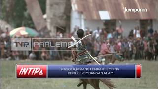 Pasola, Perang Lempar Lembing Demi Keseimbangan Alam - INTIPS