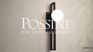 Watch A Video About the Possini Euro Dacia Black Indoor Outdoor Wall Light