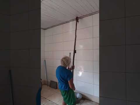 Junior gambazinho Cajuri Viçosa Minas gerais