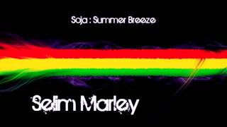 SOJA - Summer Breeze + Lyrics