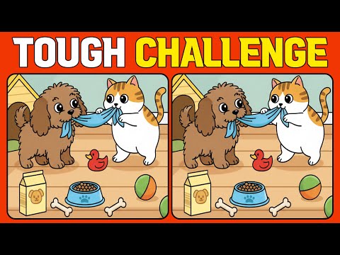 Tough Challenge Spot the Differences, 5 Puzzles, 15 Differences (Hard Mode)