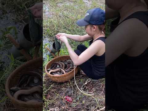 Unbelievable Oil Fishing Technique With Survival Skills