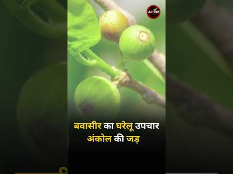 Home Remedies For Piles : Tlebid Alu Retis #pilesclinic #ayurvedicpilestreatment #bawaseerkailaj