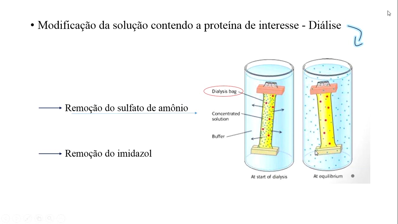 Aula 5 ACH5542 - Aminoácidos, peptídeos e proteínas - Parte 2