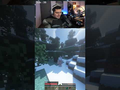 Des génies ceux qui ont fait le skin #rp #minecraft #crazytown #raffale #reido #zafeel