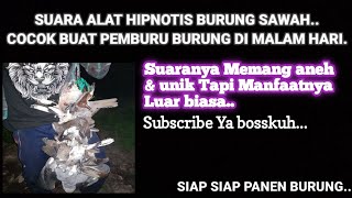 Download lagu Suara Alat Hipnotis Burung Ampuh, Siap Siap Dapat Burung Banyak mp3