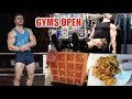 Squats and Deads | Full Day of Eating | Project Gorilla EP.2
