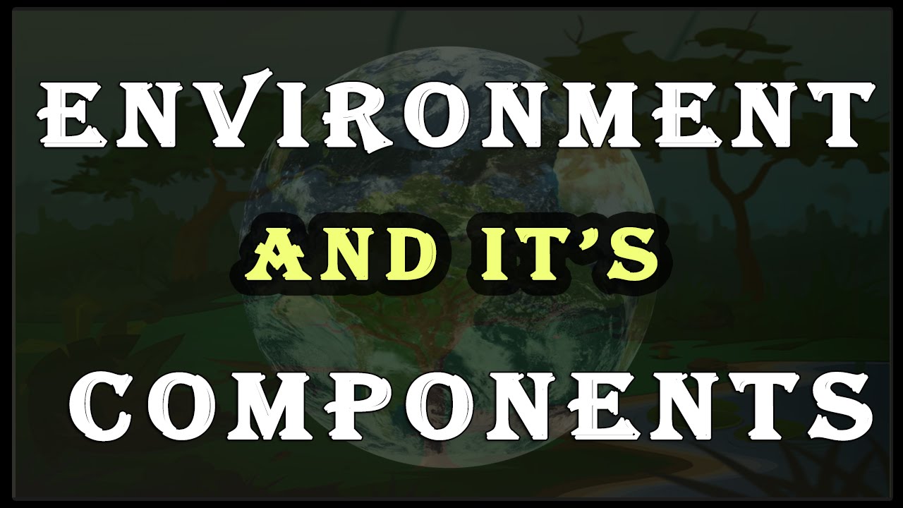 Environment and it's Biotic & Abiotic Components | EVS | Letstute