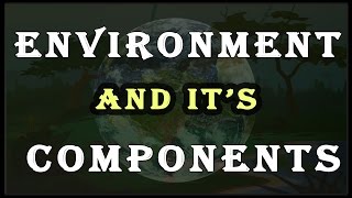 Environment and it's Biotic & Abiotic Components | EVS | Letstute