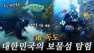 해양생태계의 보물섬 독도 바닷속 탐험! 이맛에 일합니다!
