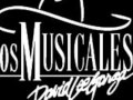 Contaras Conmigo - David Lee Garza y Los Musicales