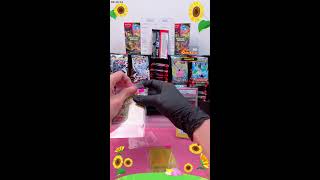 Slowpoke Corner TCG Live Stream