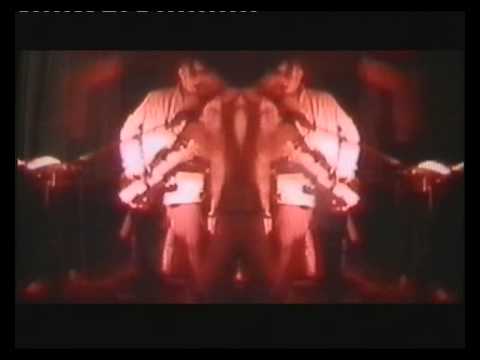 TheMagnificents - Digital Dirt