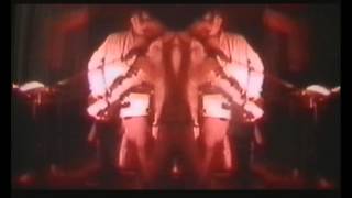 TheMagnificents - Digital Dirt