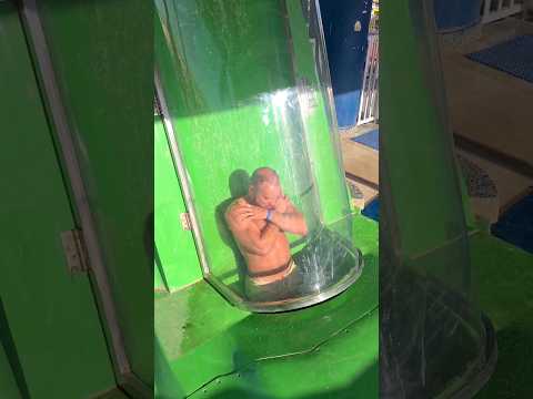 Der freie Fall, die Wahnsinns Rutsche im Pickalbatros Jungle Aqua Park by Neverland