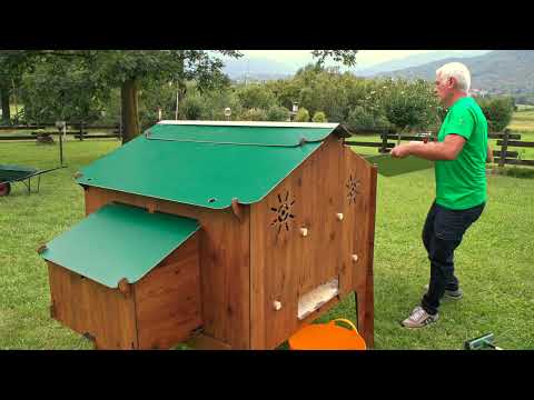 Hühnerstall Reinigung