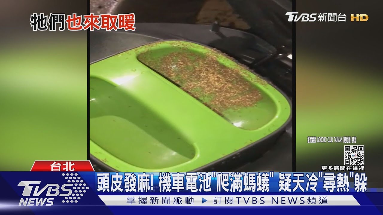 頭皮發麻! 機車電池「爬滿螞蟻」疑天冷「尋熱」躲