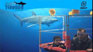 DIA 3 Expo Tiburon168