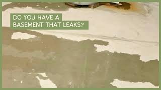 Basement Waterproofing Chicago, IL