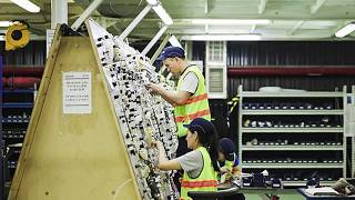 Wie zieht dieses Land Investitionen in die verarbeitende Industrie an?