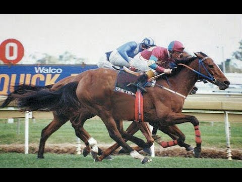 1994 NINE News _ Sport _Horse Racing _ ROUGH HABIT