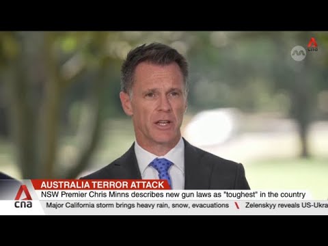 Australia's New South Wales passes tougher gun, anti-terror laws after Bondi Beach shooting
