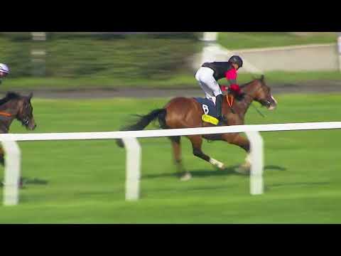 CH - 1. 9. 2024 - 6. dostih - 46. VELKÁ CENA PRAHY CK MARTIN TOUR