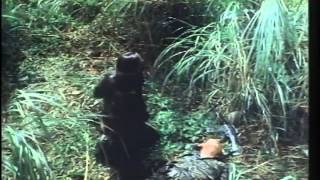 Fatal Mission (1990) Video