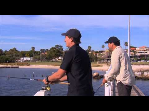 Destination WA - Fishing the Swan River