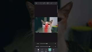 Download lagu HOW TO REMOVE THE PHOTO BACKGROUND IN THE PICSART mp3