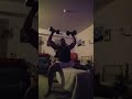 Seated Dumbbell Shoulder Press 40 lb dumbbells × 25 pause reps Full R.O.M No Half Reps!!!
