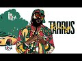 Tarrus Riley : Just the way you are Live at the WRC Koroga Festival