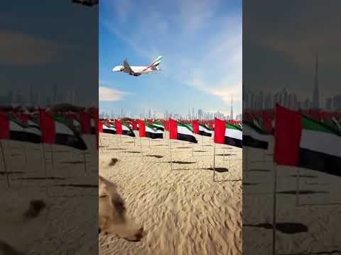 It was UAE National Flag Day ,God bless UAE #dubai #dubailfe #uae #viral #shorts #shortvideo #vlog — Spectronix YouTube Short