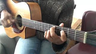 The Doo-Doo Chasers Funkadelic acoustic