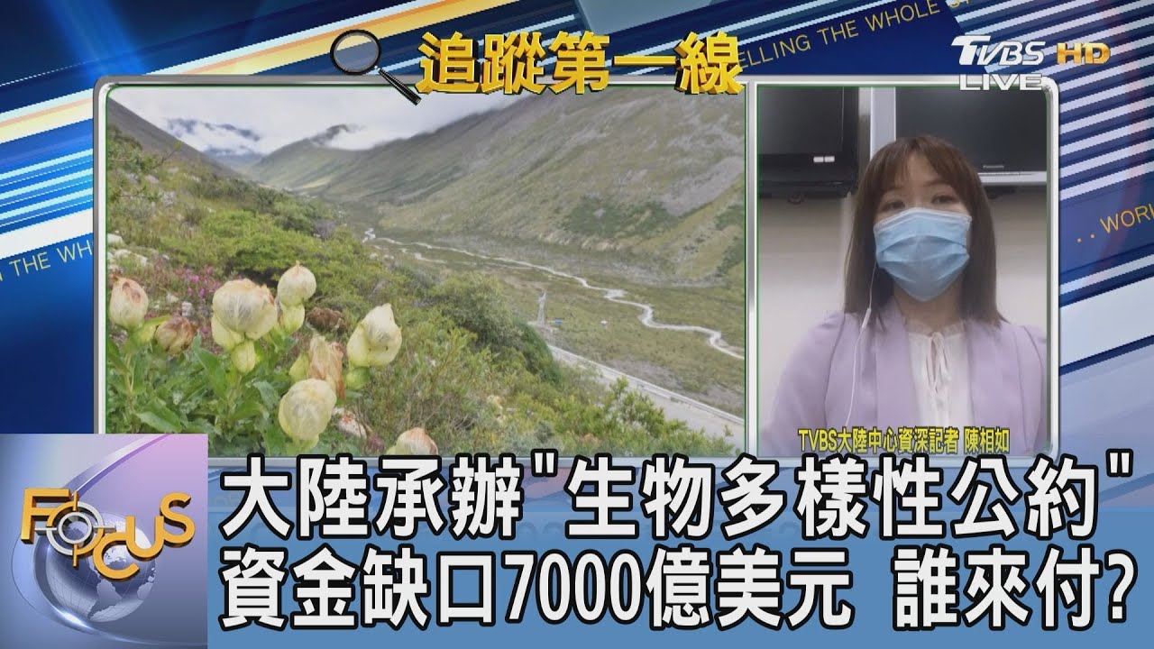 未具法律約束力!「昆明宣言」將成大陸環境外交考驗