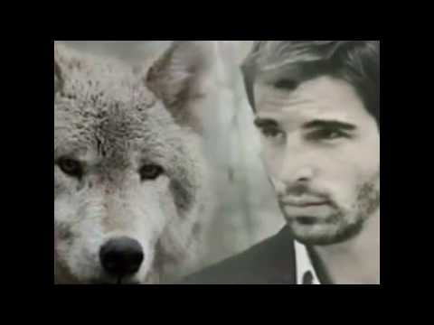 GRUPO MEHMET AKIF ALAKURT PRINCIPE