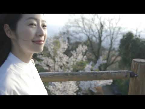 やまぐち映像図鑑 NO.162 火の山公園（桜）［下関市］ | IHinoyama Park  [ Shimonoseki-city ]