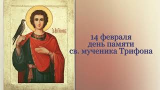 Святой мученик Трифон
