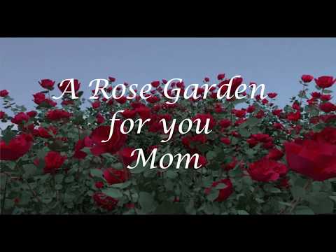 A Mother's Love,  A Rose Garden For Mom
